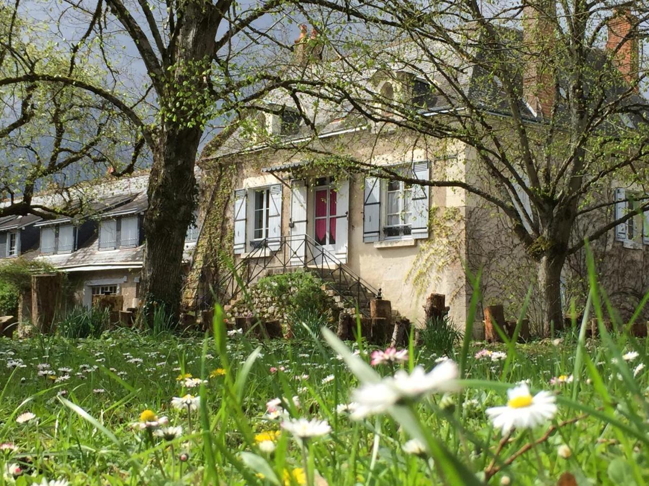 La Rossignolerie - La Familiale Vigneronne Acomodação com café da manhã Chouzy-sur-Cisse Exterior foto